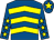 Royal blue, yellow chevrons, royal blue sleeves, yellow stars, royal blue cap, yellow star (Michael Geoghegan Et Al)